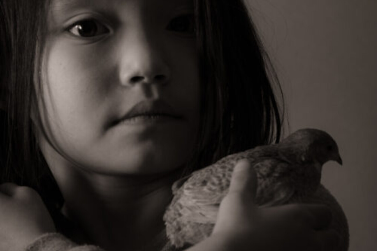 20190105-L1002477-500x417