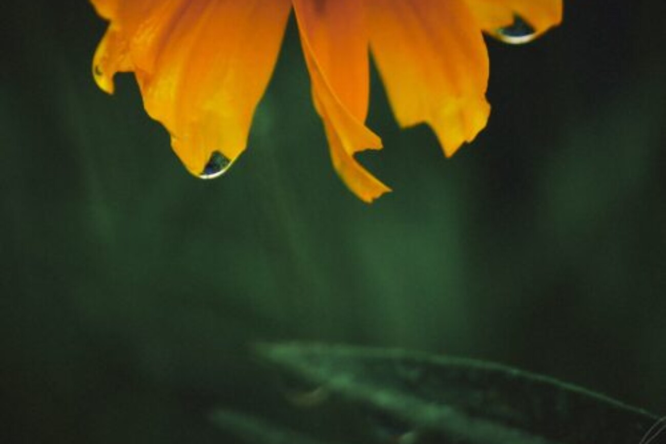 S1000823Jun_10_2018_2-500x417