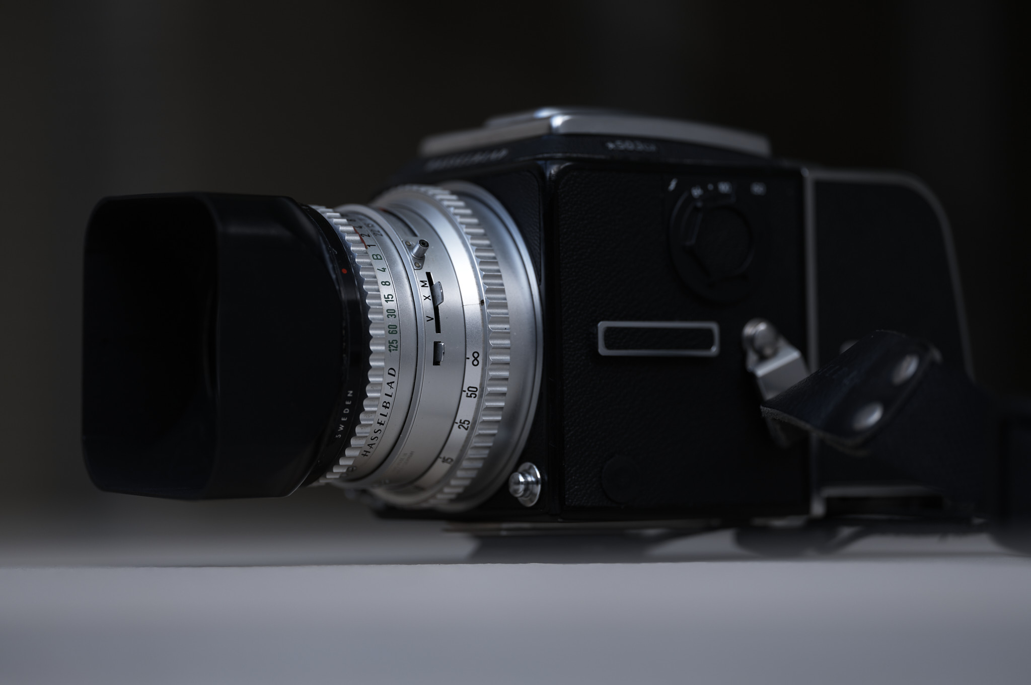 マクロ対決！Contaxマクロプラナー100 f2.8、Leicaアポマクロ